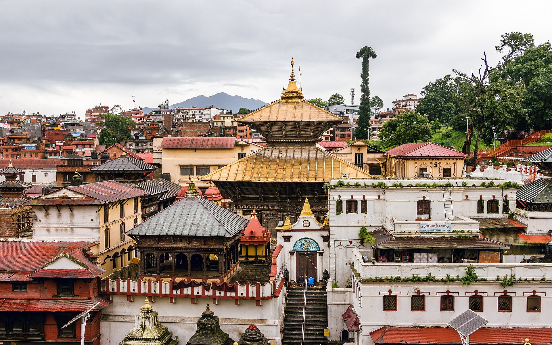 Pashupatinath Temple, Kathmandu