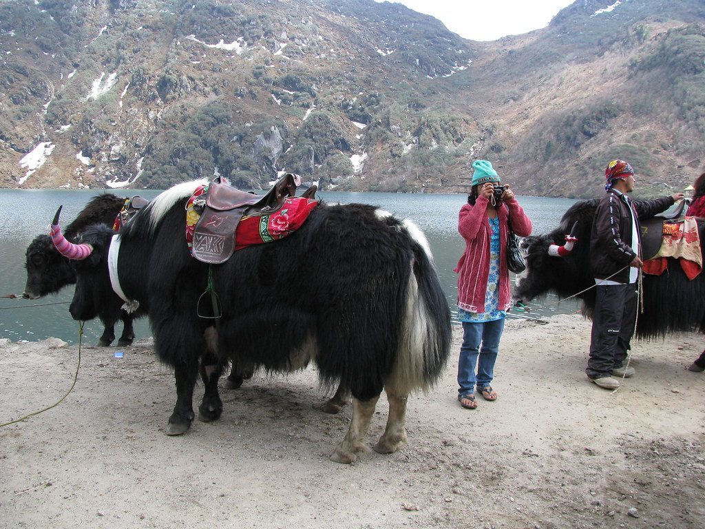 Tsomgo Lake, Sikkim